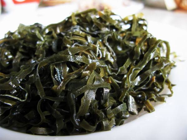 Wodorosty – korzyści zdrowotne